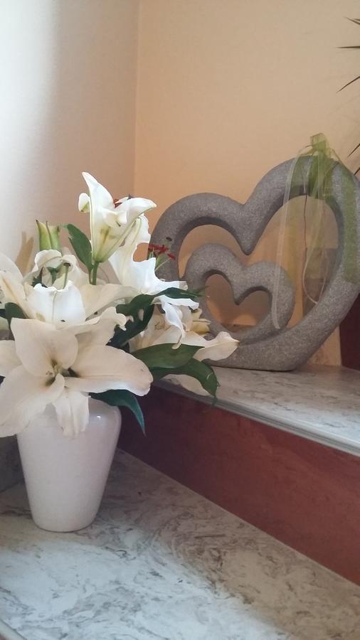 Apartament Haus Traninger Flachau Zewnętrze zdjęcie