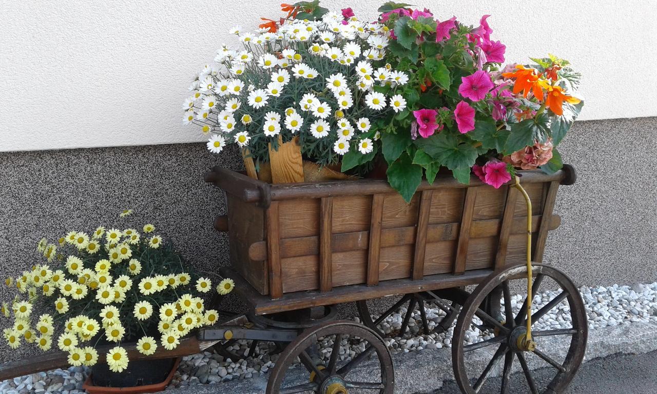 Apartament Haus Traninger Flachau Zewnętrze zdjęcie